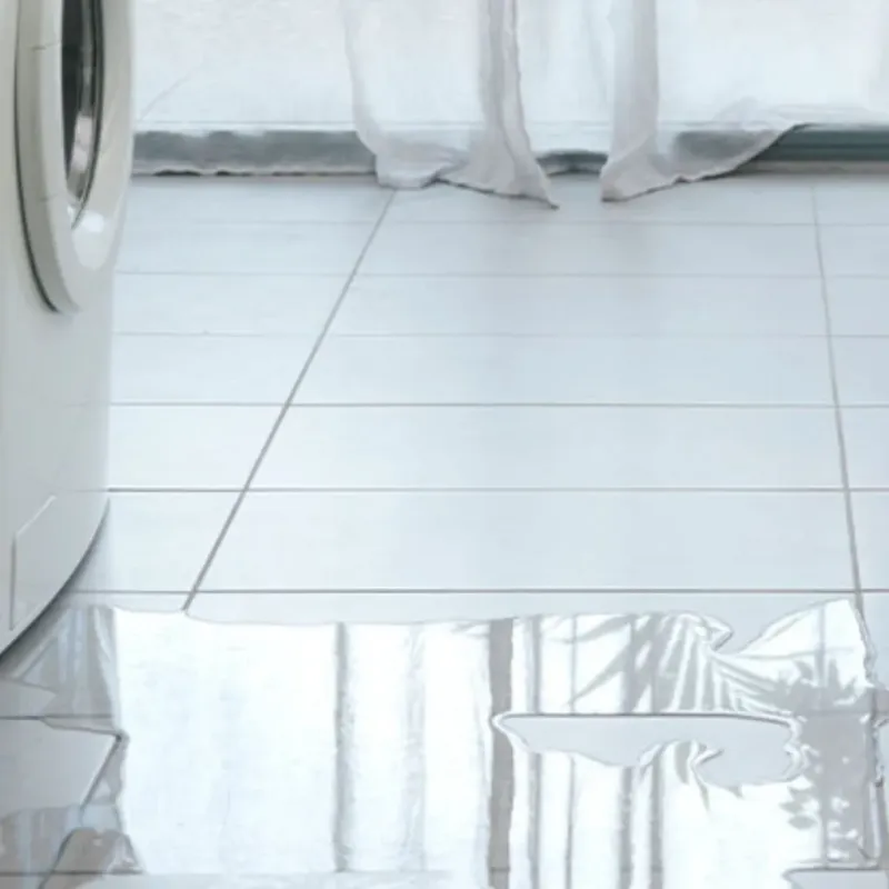 Appliance Leak Cleanup in The Galena Territory, IL