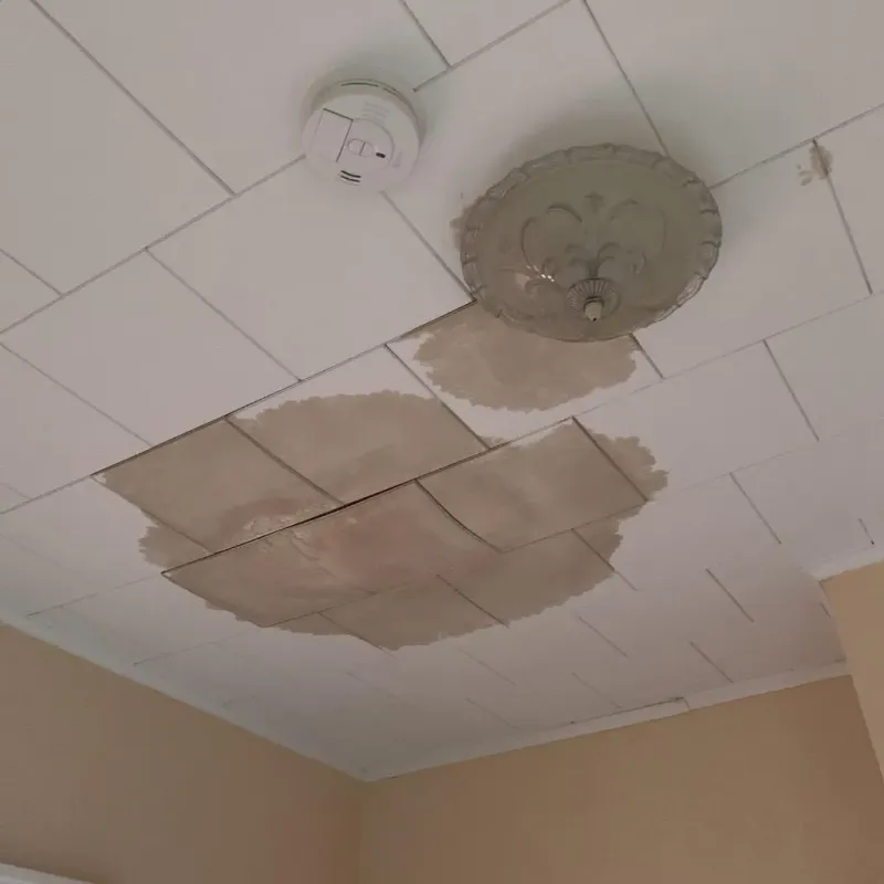 Ceiling Water Damage Repair in The Galena Territory, IL