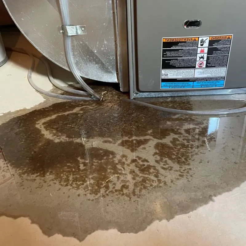 Pipe Burst and Leak Restoration in The Galena Territory, IL