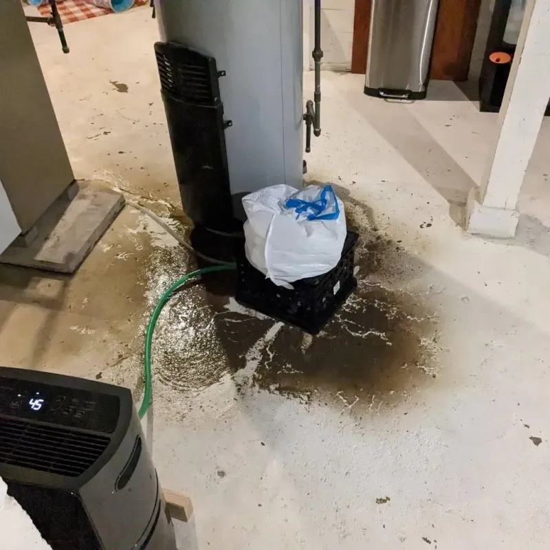 Sewage Backup Cleanup Service in The Galena Territory, IL